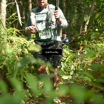 Runner Photo 5136213