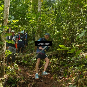 Runner Photo 5136298