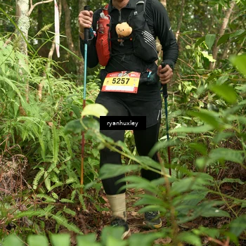 Runner Photo 5136316
