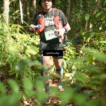 Runner Photo 5136566