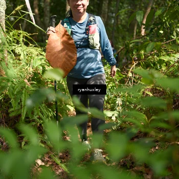 Runner Photo 5136591