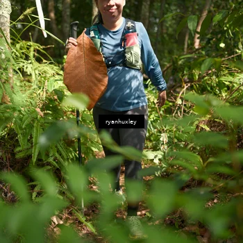 Runner Photo 5136602