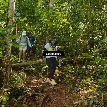 Runner Photo 5136941