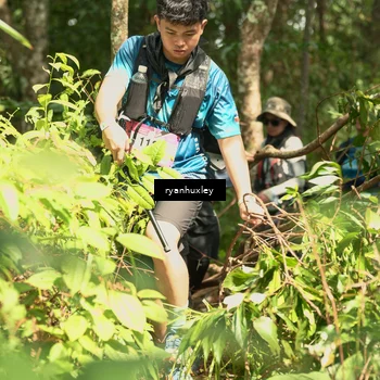 Runner Photo 5137236