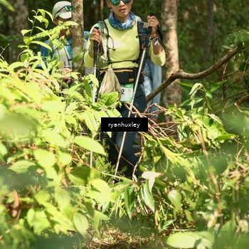 Runner Photo 5137374