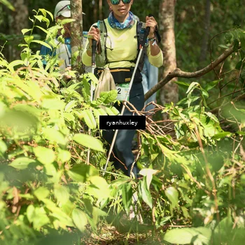 Runner Photo 5137375