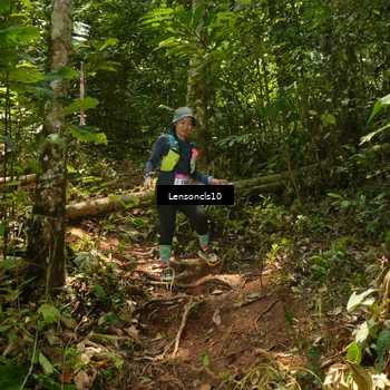 Runner Photo 5137412