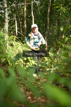 Runner Photo 5137698