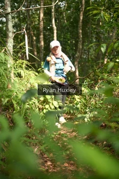 Runner Photo 5137703