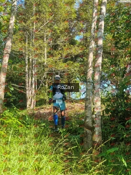 Runner Photo 5138