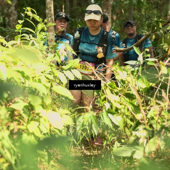Runner Photo 5138122