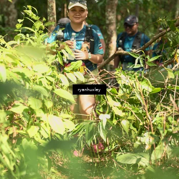 Runner Photo 5138135