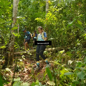 Runner Photo 5138275