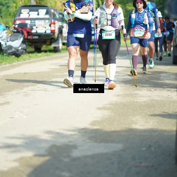 Runner Photo 5138508