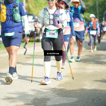 Runner Photo 5138584