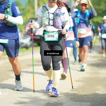 Runner Photo 5138586