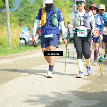 Runner Photo 5138599