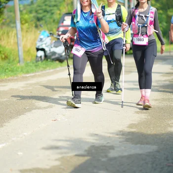 Runner Photo 5139675