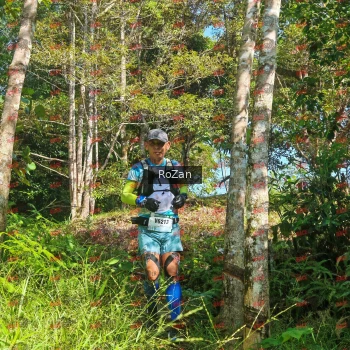 Runner Photo 5140