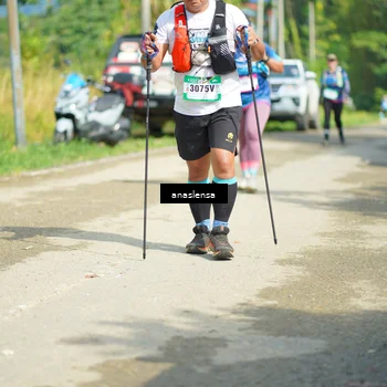 Runner Photo 5140541