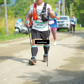 Runner Photo 5140547