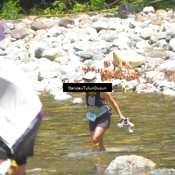 Runner Photo 5141237