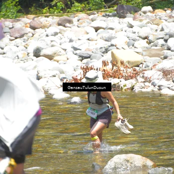 Runner Photo 5141241