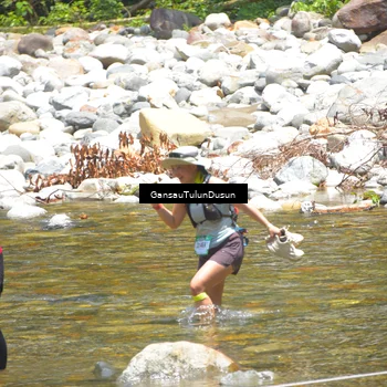 Runner Photo 5141254