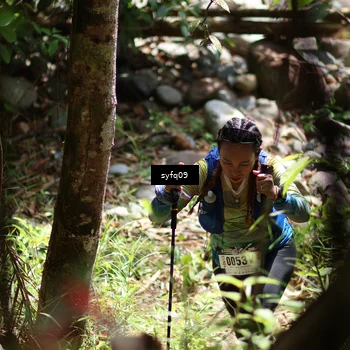 Runner Photo 5141734