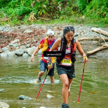 Runner Photo 5141812