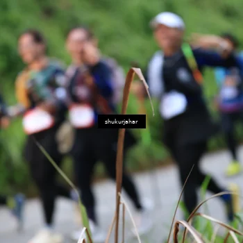 Runner Photo 5141873
