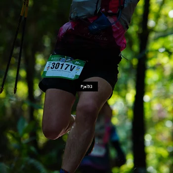 Runner Photo 5146177