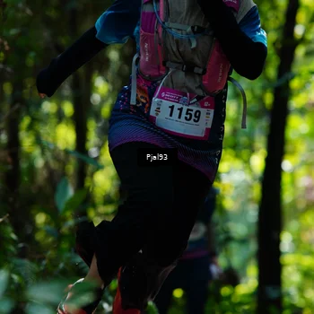 Runner Photo 5146196