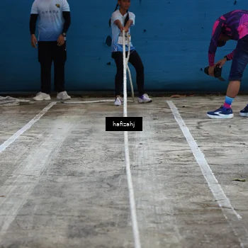 Runner Photo 5146262