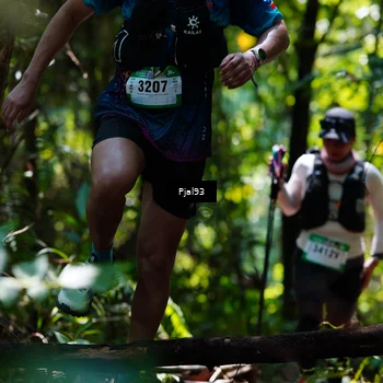 Runner Photo 5148502