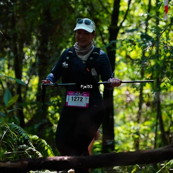 Runner Photo 5148641