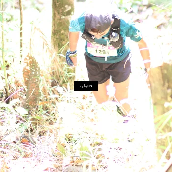 Runner Photo 5148660