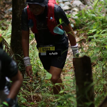 Runner Photo 5148821