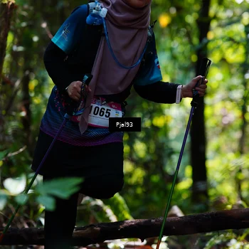 Runner Photo 5148840