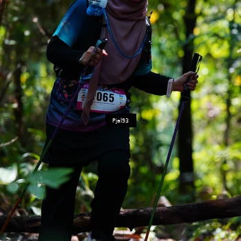 Runner Photo 5148846