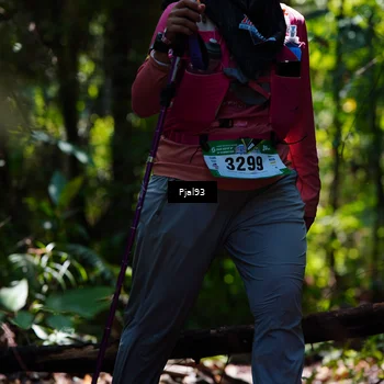 Runner Photo 5148909