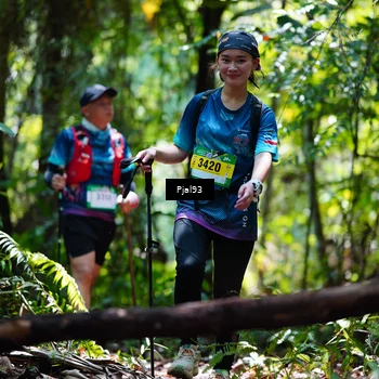 Runner Photo 5149640