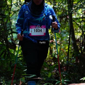 Runner Photo 5149973