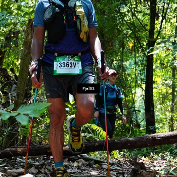 Runner Photo 5150033