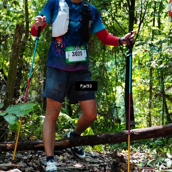 Runner Photo 5150047