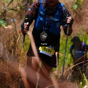 Runner Photo 5150226