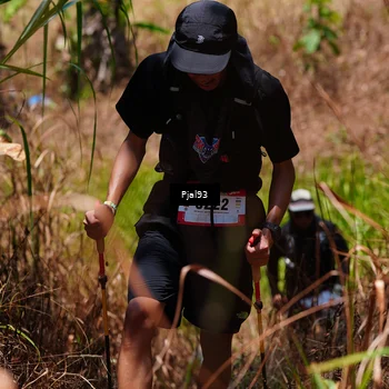 Runner Photo 5150265