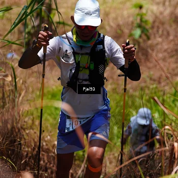Runner Photo 5150292