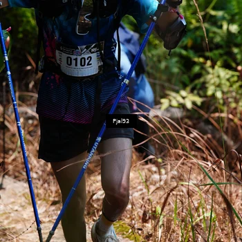 Runner Photo 5150353