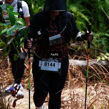 Runner Photo 5150380